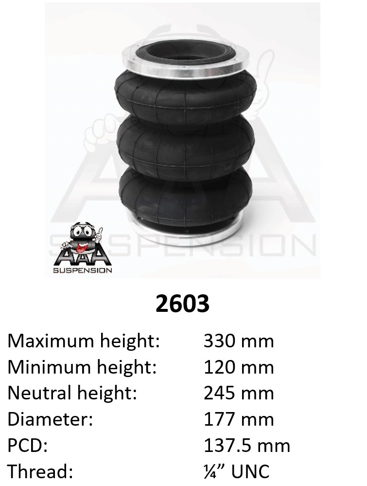 2603